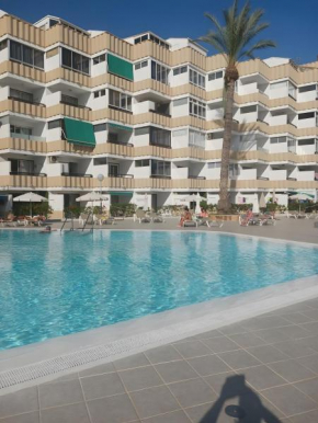 Loft Koka Alto